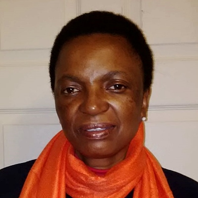 Princess - ICU Transport (Controller)